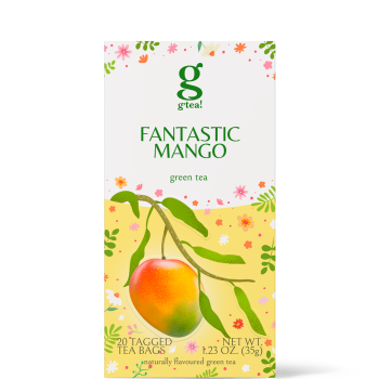 FANTASTIC MANGO